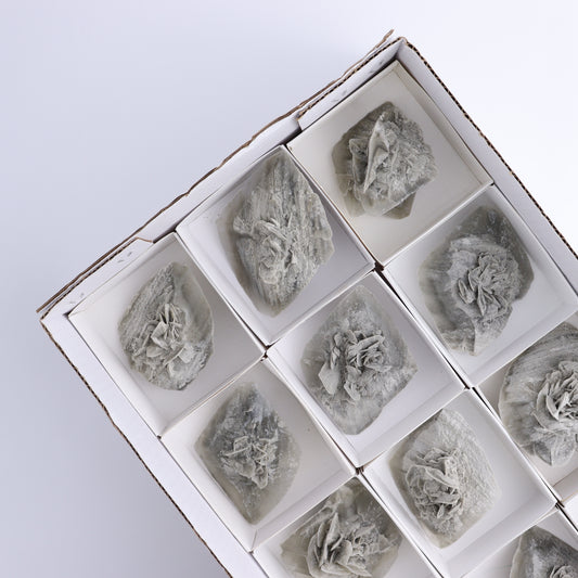Selenite Clusters Set of 12