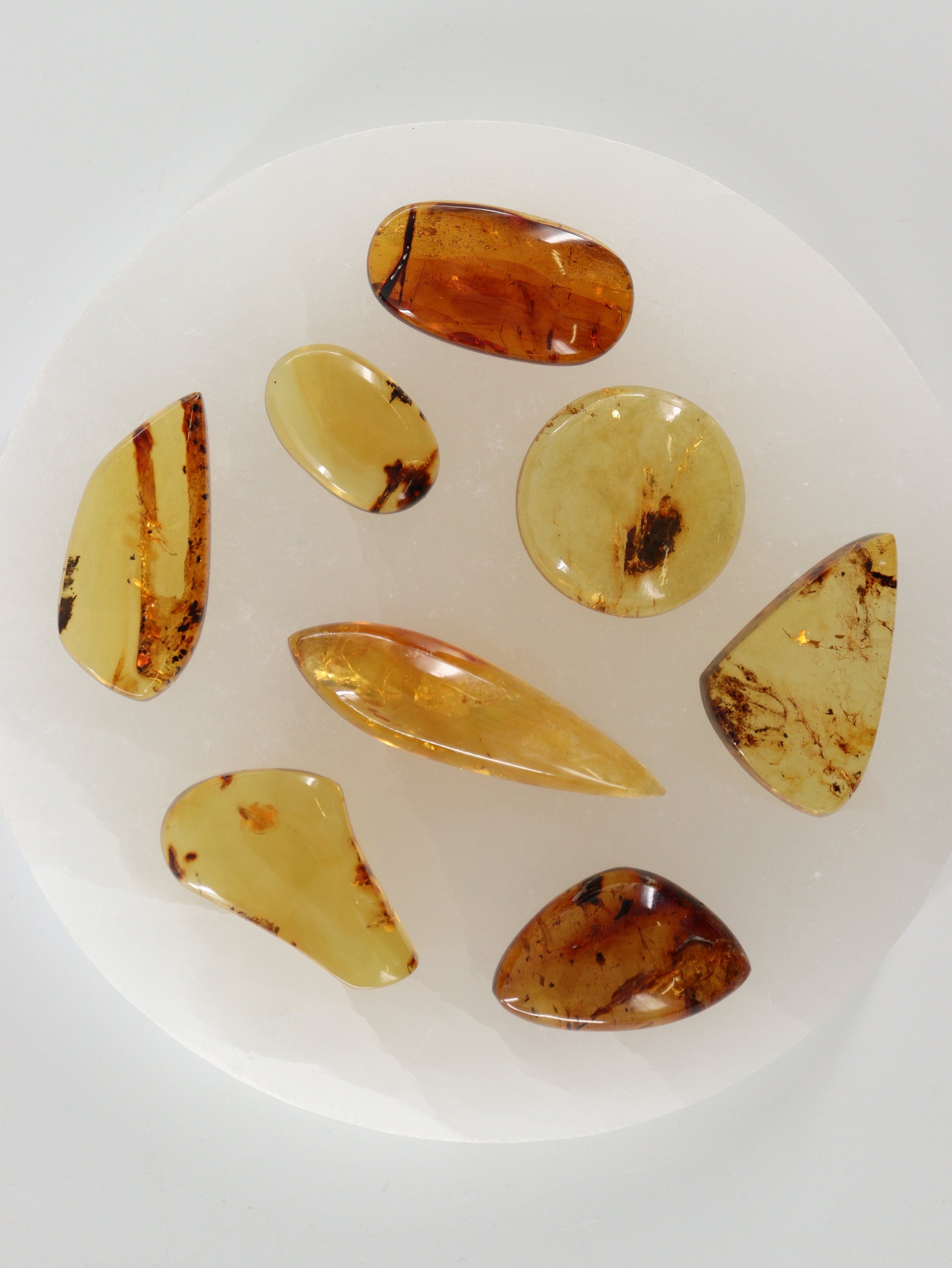 Chiapas Amber Cabs Set of 8 - Expert Wholesale and Supplier of Wholesale Crystals & Bulk Gemstones, ["Chiapas Amber","Mexico","Shapes"]