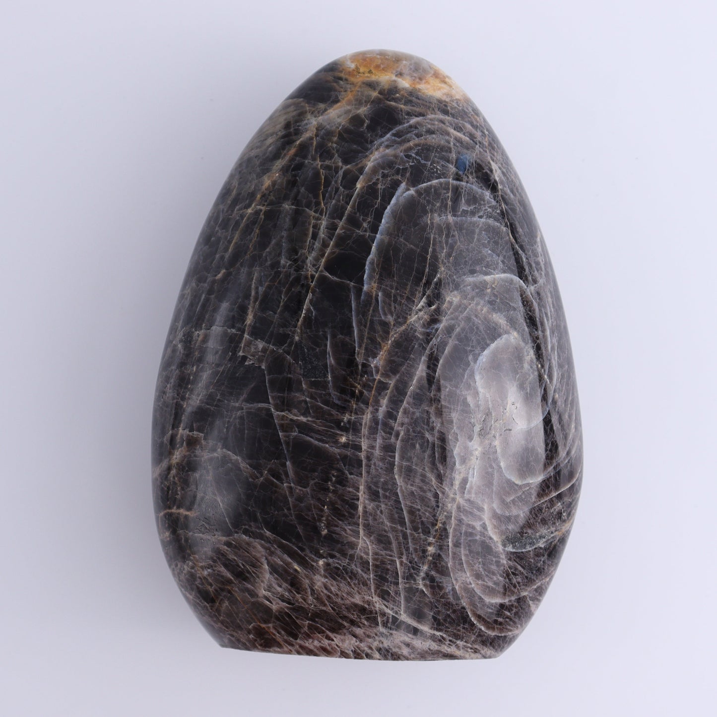 Black Moonstone Freeform - Expert Wholesale and Supplier of Wholesale Crystals & Bulk Gemstones, ["Black Moonstone","close_50","Freeform","Freeforms","Moonstone"]