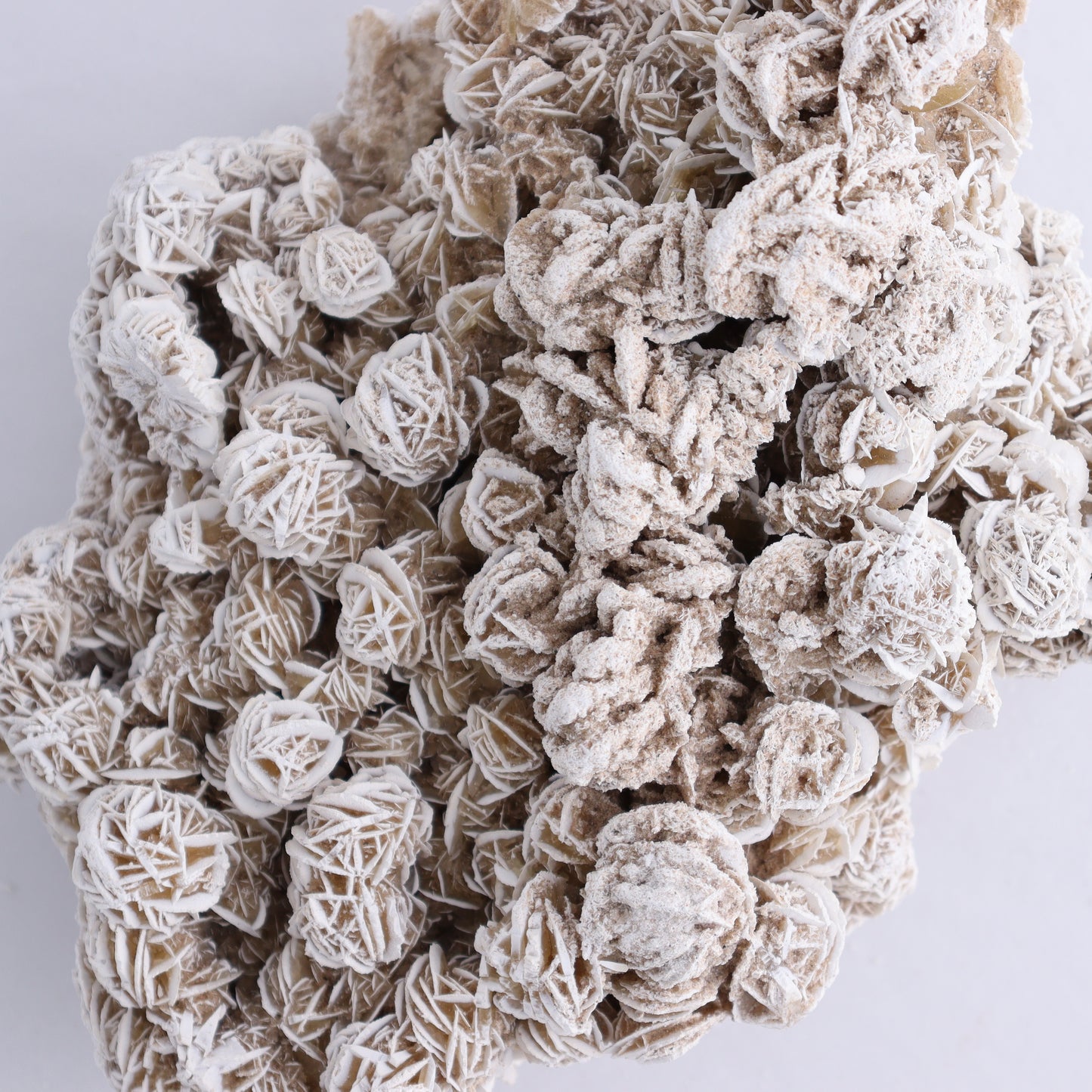 Desert Rose Cluster - Expert Wholesale and Supplier of Wholesale Crystals & Bulk Gemstones, ["Desert Rose","Freeforms"]
