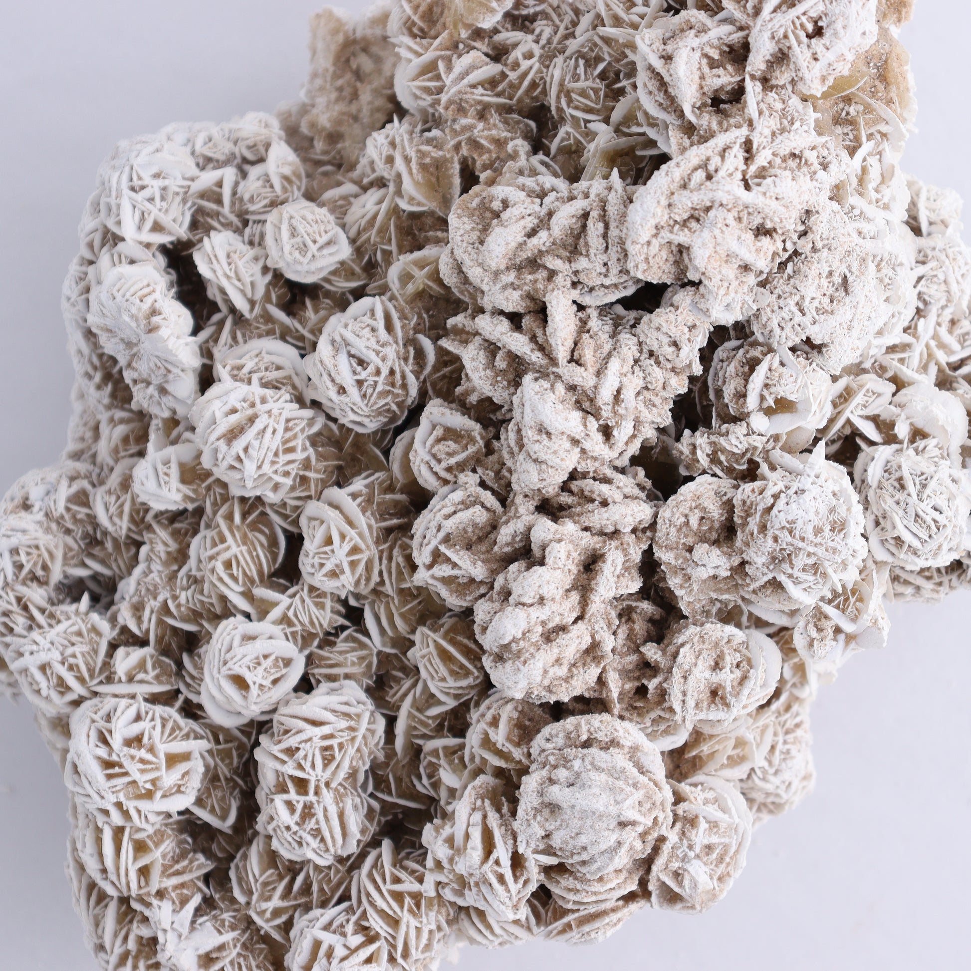 Desert Rose Cluster - Expert Wholesale and Supplier of Wholesale Crystals & Bulk Gemstones, ["Desert Rose","Freeforms"]