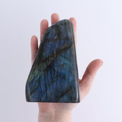 Labradorite Freeform Set of 7