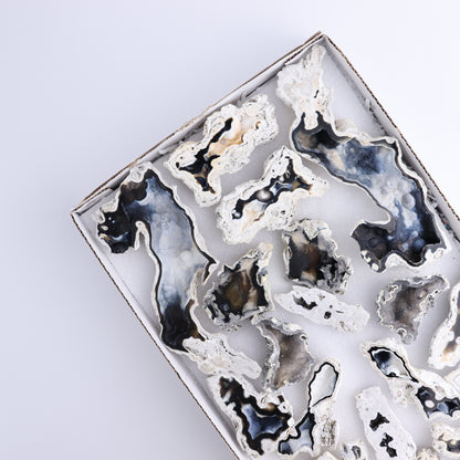 Agatized Coral Flat - Expert Wholesale and Supplier of Wholesale Crystals & Bulk Gemstones, ["Agate","Agatized Coral","Coral","United States"]