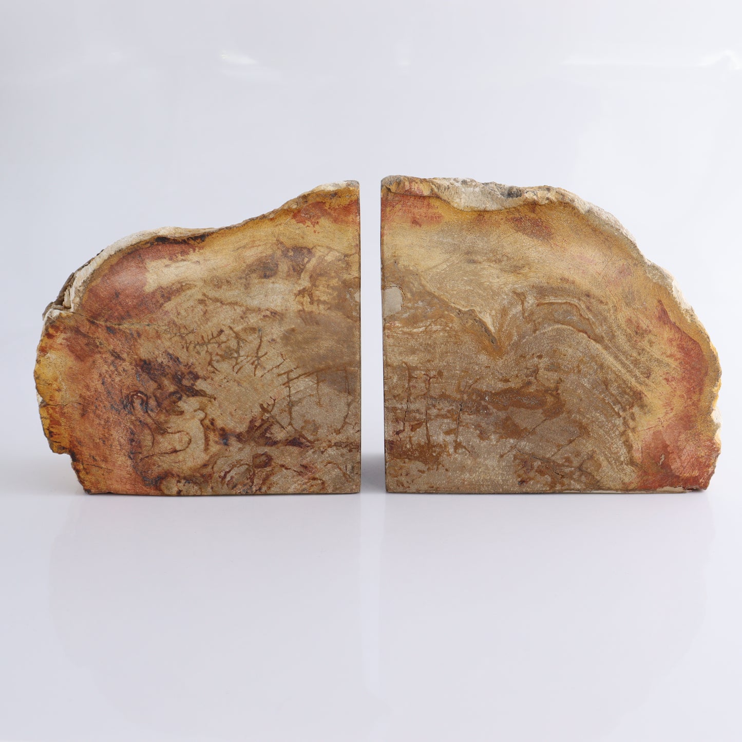 Bookends Petrified Wood - Expert Wholesale and Supplier of Wholesale Crystals & Bulk Gemstones, ["Bookends","Indonesia","Petrified Wood"]