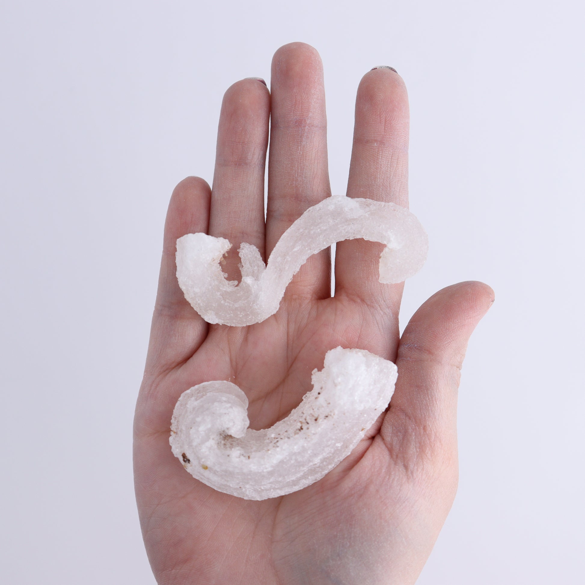 Rams Horn Selenite Set of 10 - Expert Wholesale and Supplier of Wholesale Crystals & Bulk Gemstones, ["Freeform","Freeforms","selenite"]