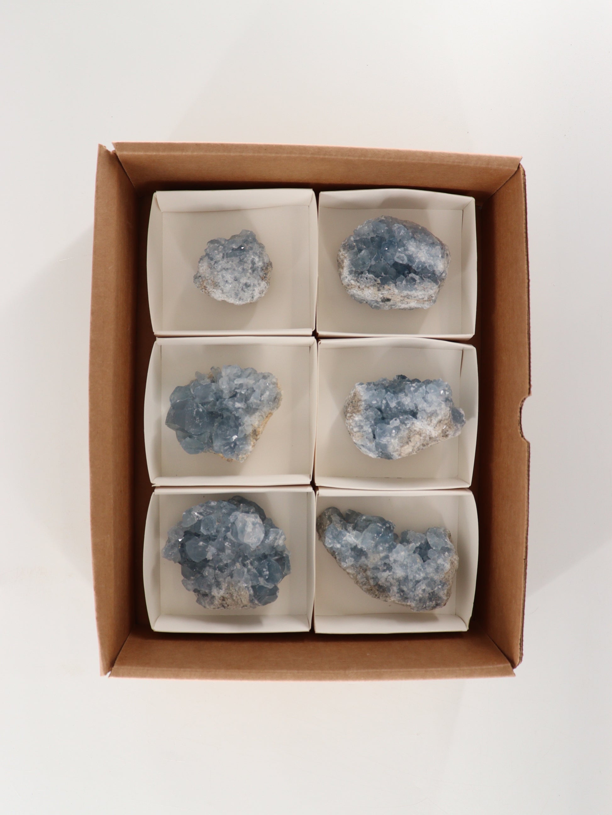 Celestite Clusters Set of 6 - Expert Wholesale and Supplier of Wholesale Crystals & Bulk Gemstones, []