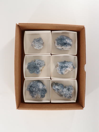 Celestite Clusters Set of 6 - Expert Wholesale and Supplier of Wholesale Crystals & Bulk Gemstones, []