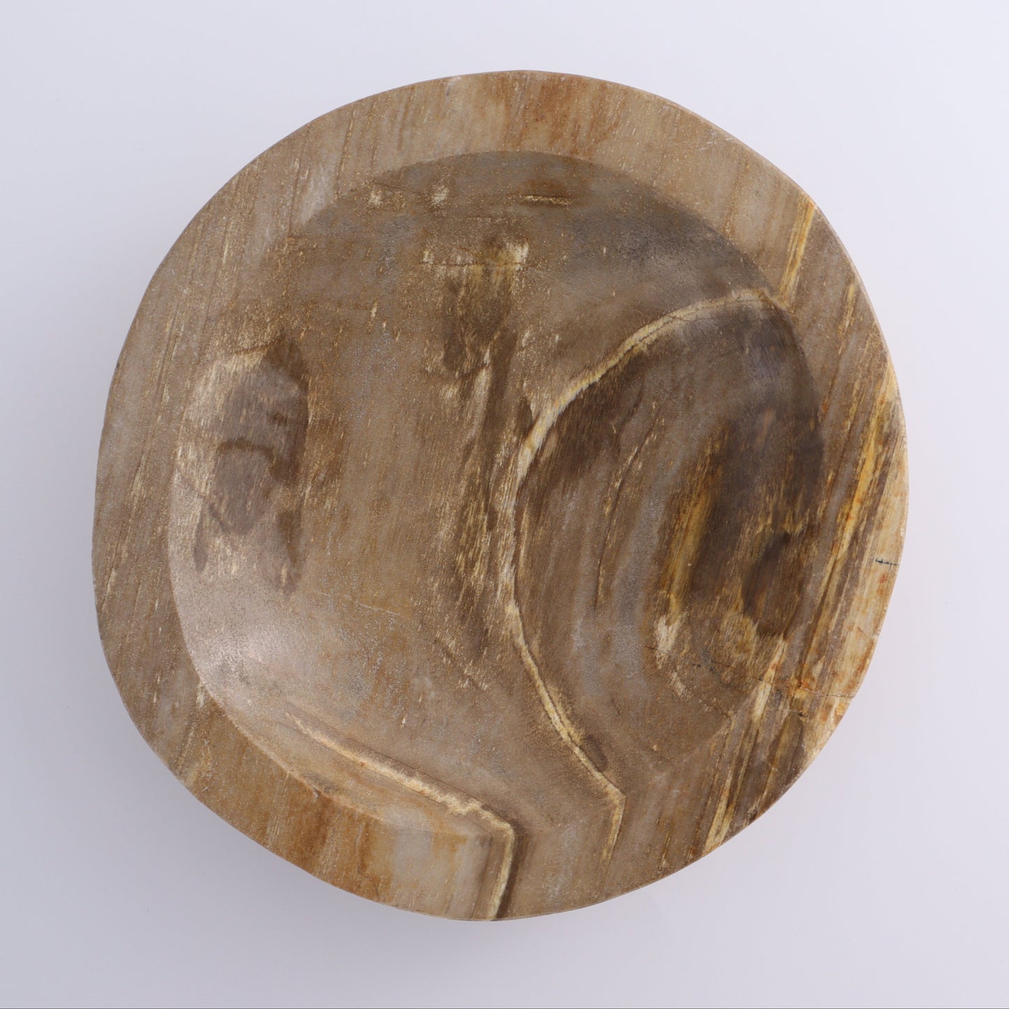 Petrified Wood Bowl - Expert Wholesale and Supplier of Wholesale Crystals & Bulk Gemstones, ["Bowls","Indonesia","Petrified Wood"]
