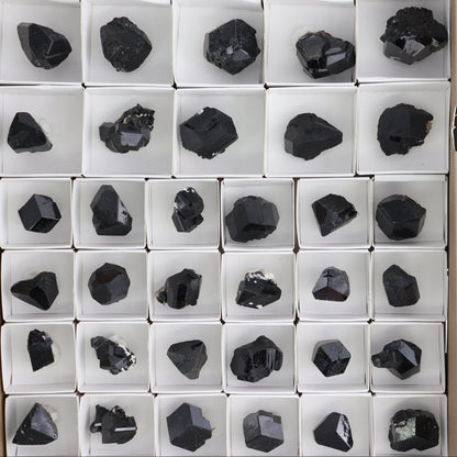 Black Tourmaline Roughs Set of 43