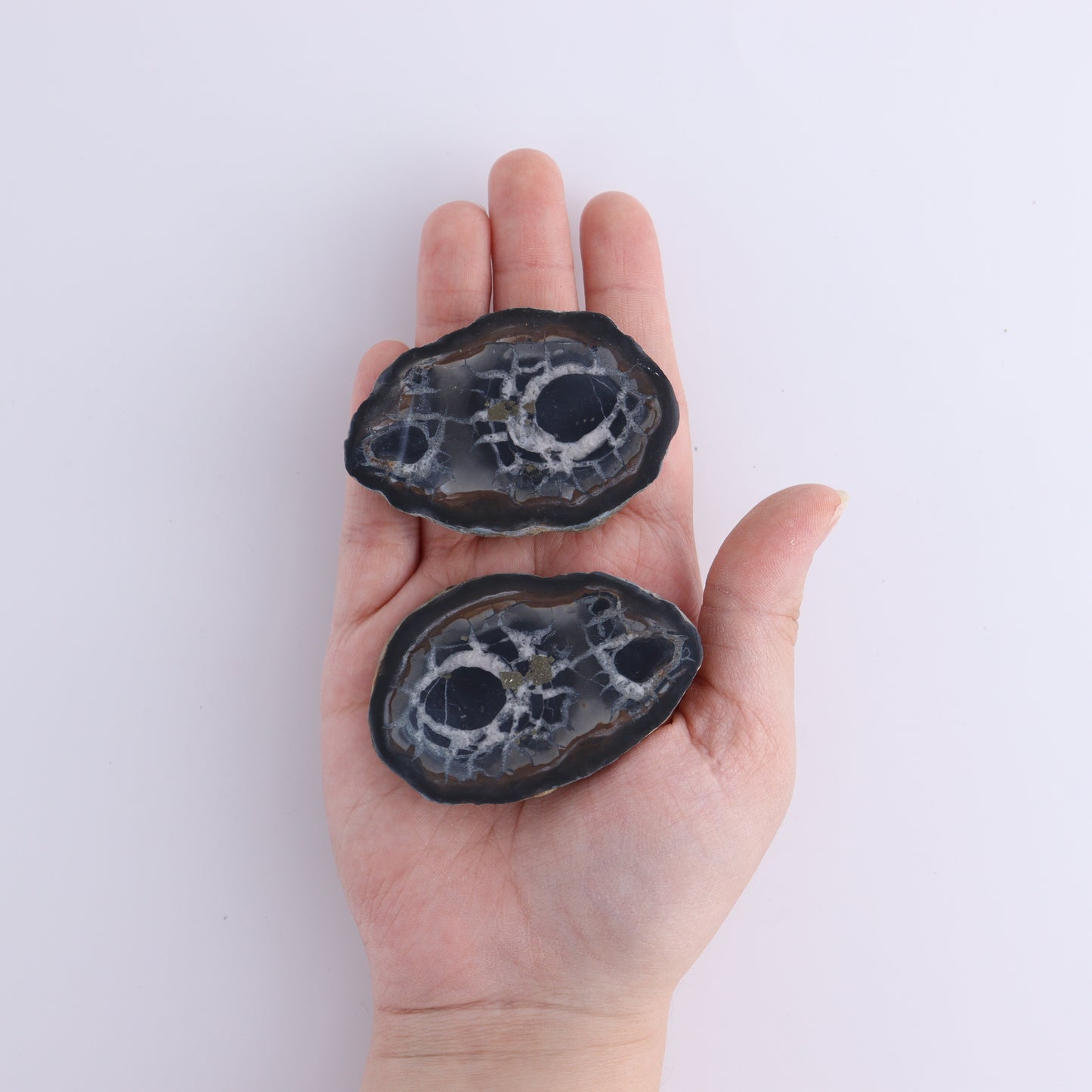Septarian Geodes Flat - Expert Wholesale and Supplier of Wholesale Crystals & Bulk Gemstones, ["Geodes","Septarian"]