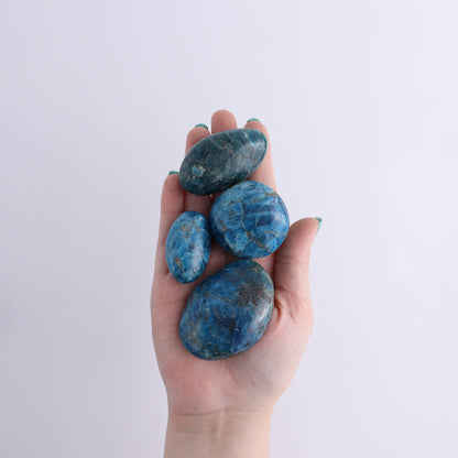Apatite Palm Stones 1 kg Set - Expert Wholesale and Supplier of Wholesale Crystals & Bulk Gemstones, ["Apatite","Madagascar","Palm Stones"]