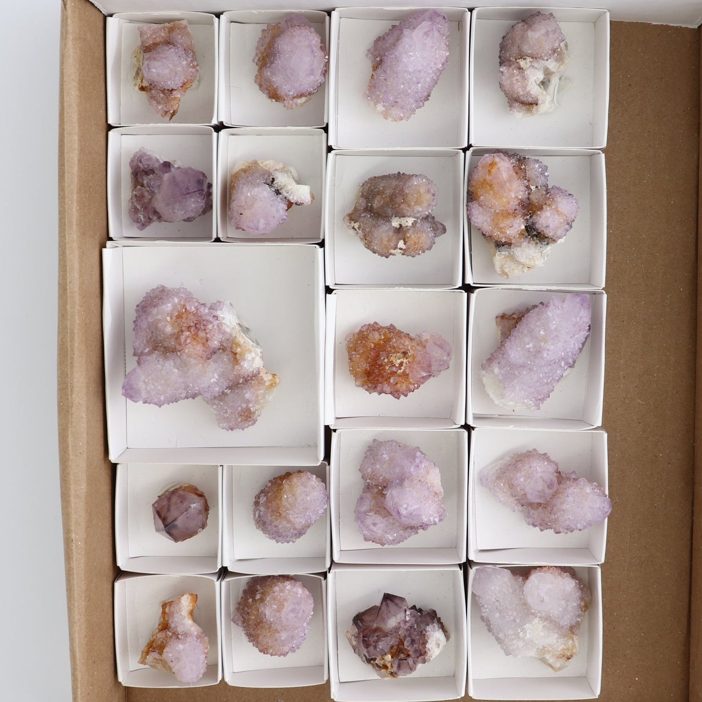 Cactus Quartz Set of 19