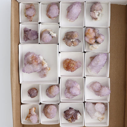 Cactus Quartz Set of 19