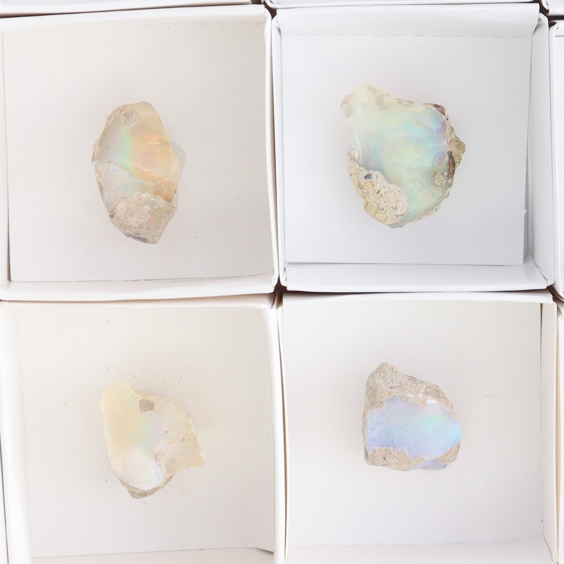 Ethiopian Opal Set of 10 - Expert Wholesale and Supplier of Wholesale Crystals & Bulk Gemstones, ["Ethiopia","ethiopian opal","Opal"]
