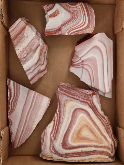 Rhyolite Slices and Slabs Set of 5 - Expert Supplier of Wholesale Crystals & Bulk Gemstones