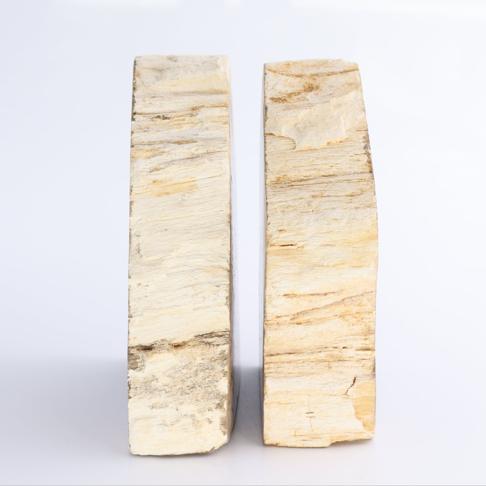 Bookends Petrified Wood - Expert Wholesale and Supplier of Wholesale Crystals & Bulk Gemstones, ["Bookends","Indonesia","Petrified Wood"]