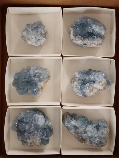 Celestite Clusters Set of 6 - Expert Wholesale and Supplier of Wholesale Crystals & Bulk Gemstones, []