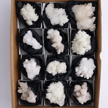 Aragonite Clusters Set of 12 - Expert Wholesale and Supplier of Wholesale Crystals & Bulk Gemstones, ["aragonite","Clusters","Freeforms","Mexico"]