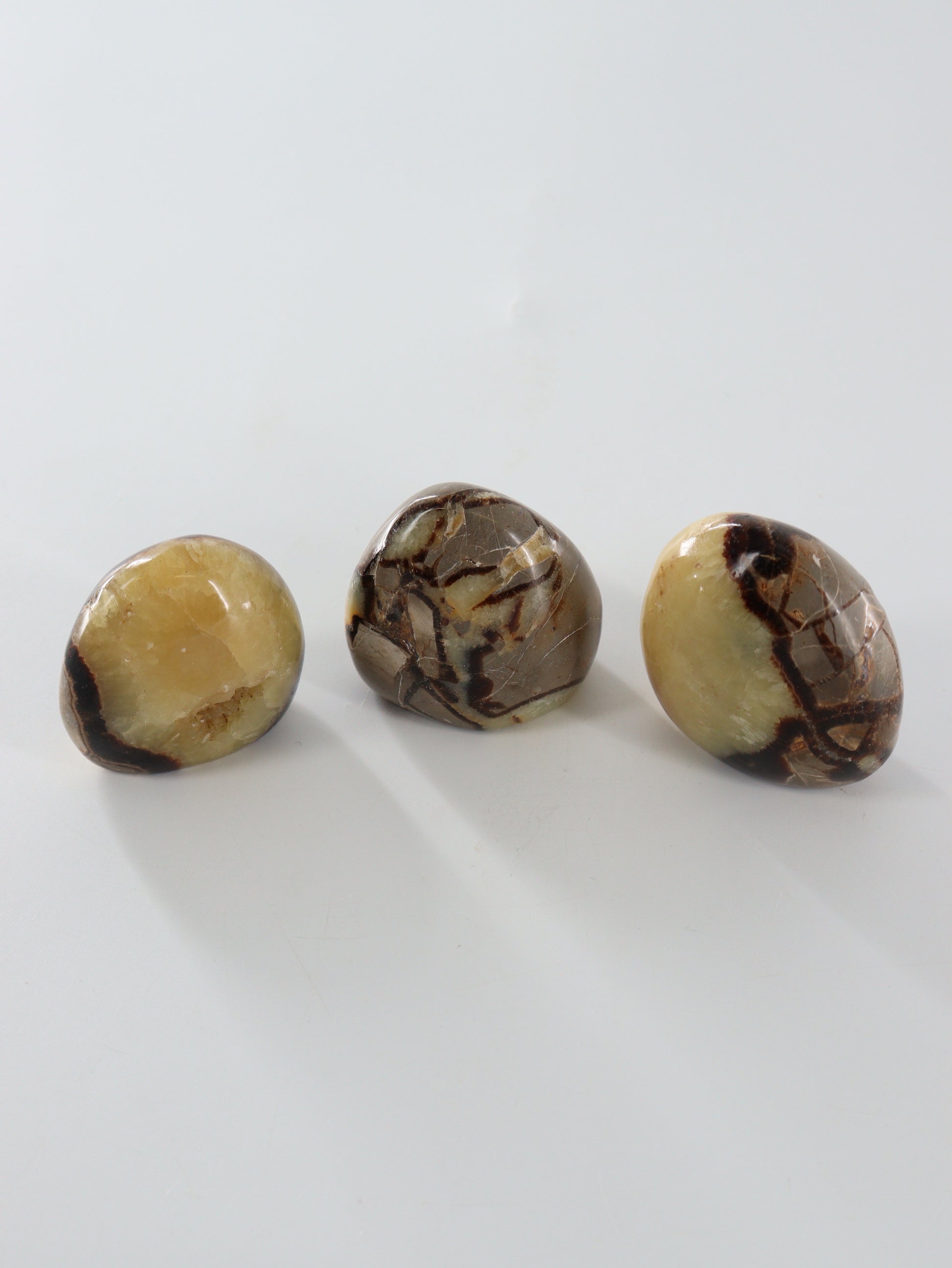 Septarian Freeforms Set of 12 - Expert Wholesale and Supplier of Wholesale Crystals & Bulk Gemstones, []