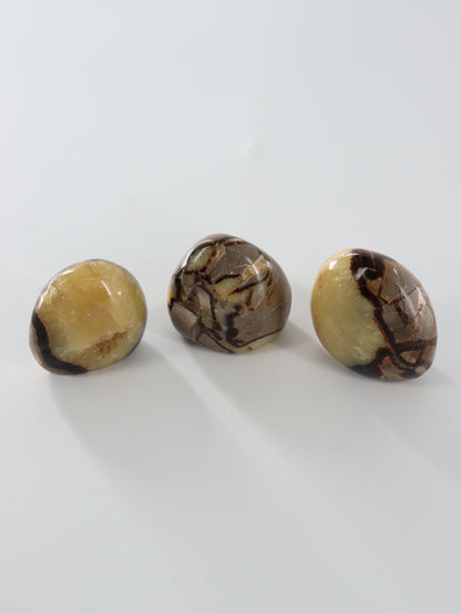 Septarian Freeforms Set of 12 - Expert Wholesale and Supplier of Wholesale Crystals & Bulk Gemstones, []