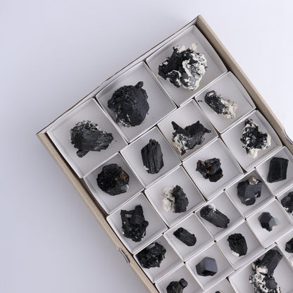 Schorl Tourmaline Flat of 30 - Expert Wholesale and Supplier of Wholesale Crystals & Bulk Gemstones, ["Black Tourmaline","Madagascar","Schorl Tourmaline","Tourmaline"]