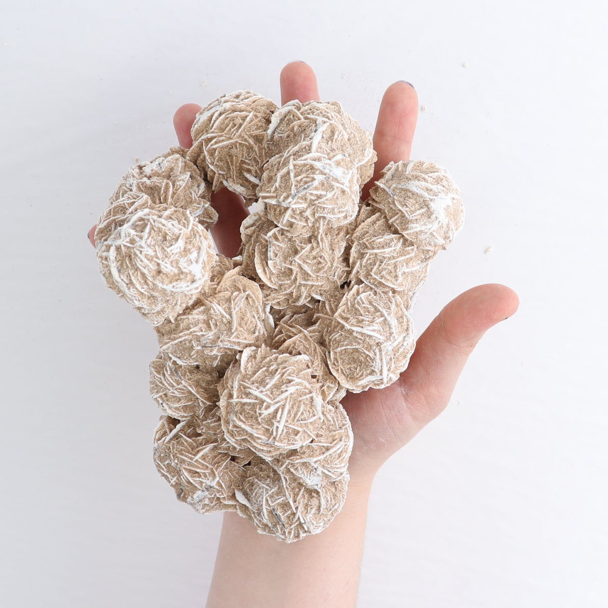 Desert Rose Set of 2