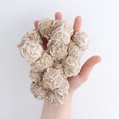 Desert Rose Set of 2
