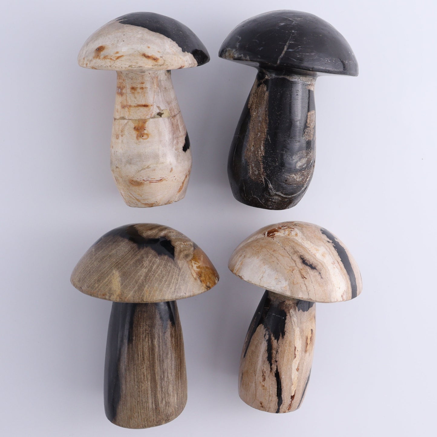 Petrified Wood Mushrooms Set of 4 - Expert Wholesale and Supplier of Wholesale Crystals & Bulk Gemstones, ["Indonesia","Mushrooms","Petrified Wood"]