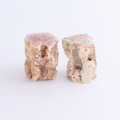 Petrified Wood Cut Bases Set of 10 - Expert Wholesale and Supplier of Wholesale Crystals & Bulk Gemstones, ["Cut Base","Petrified Wood"]