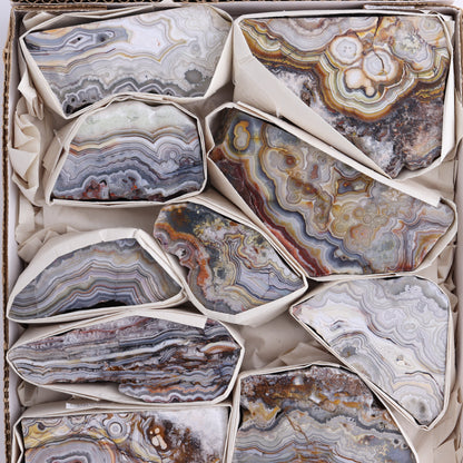 Crazy Lace Agate Flat of 12 - Expert Wholesale and Supplier of Wholesale Crystals & Bulk Gemstones, ["Crazy Lace Agate","Mexico"]