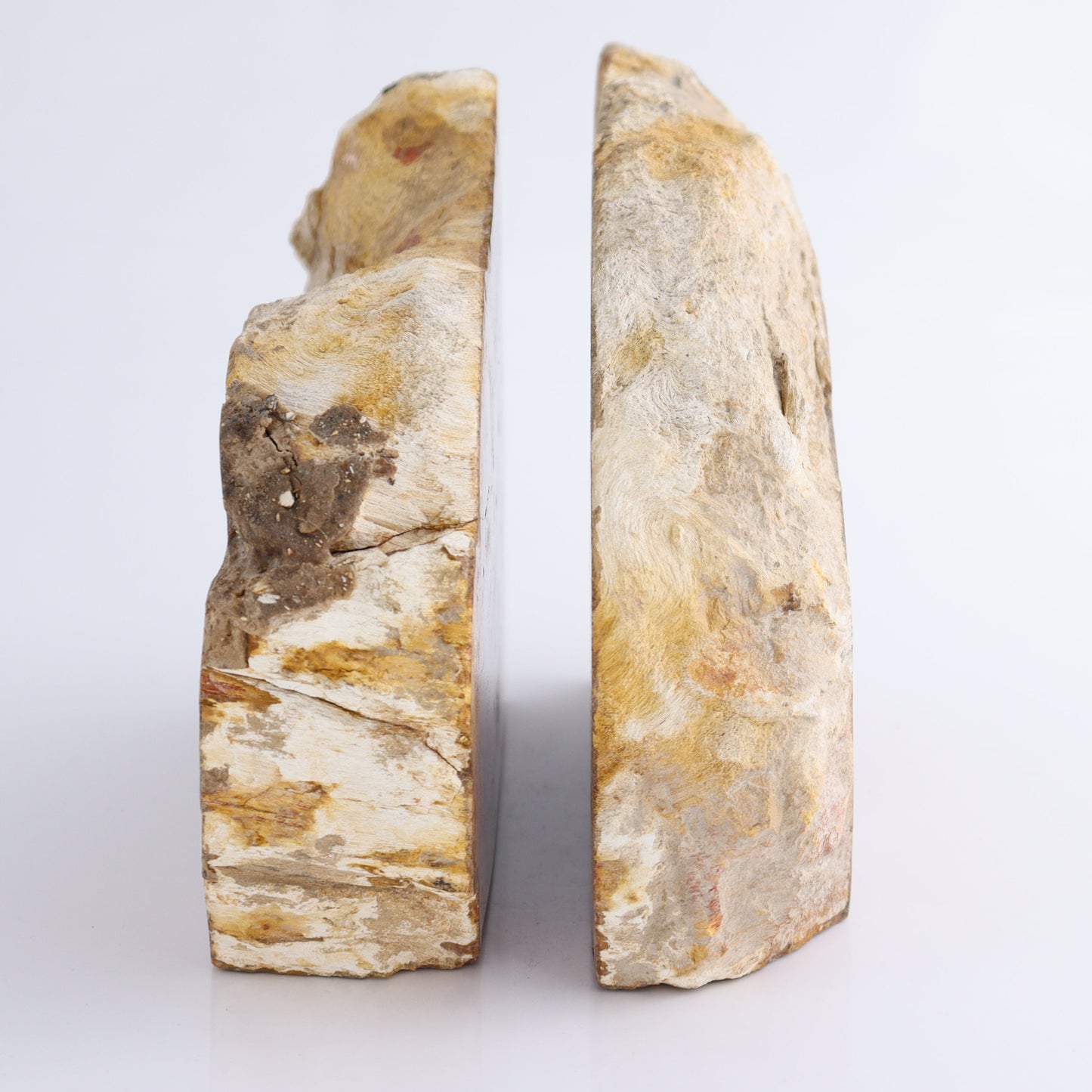 Bookends Petrified Wood - Expert Wholesale and Supplier of Wholesale Crystals & Bulk Gemstones, ["Bookends","Indonesia","Petrified Wood"]