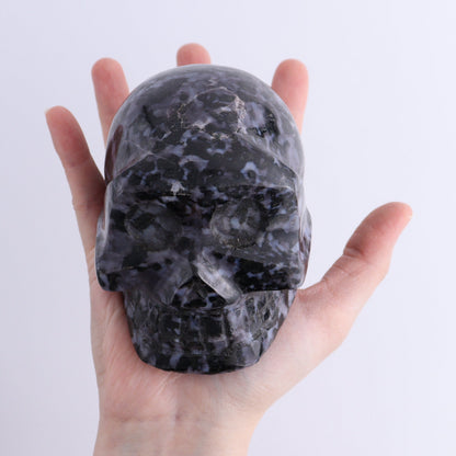 Indigo Gabbro Skulls Set of 2 - Expert Wholesale and Supplier of Wholesale Crystals & Bulk Gemstones, ["Indigo Gabbro","Madagascar","Skulls"]