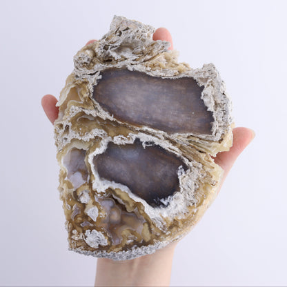 Agatized Coral Flat