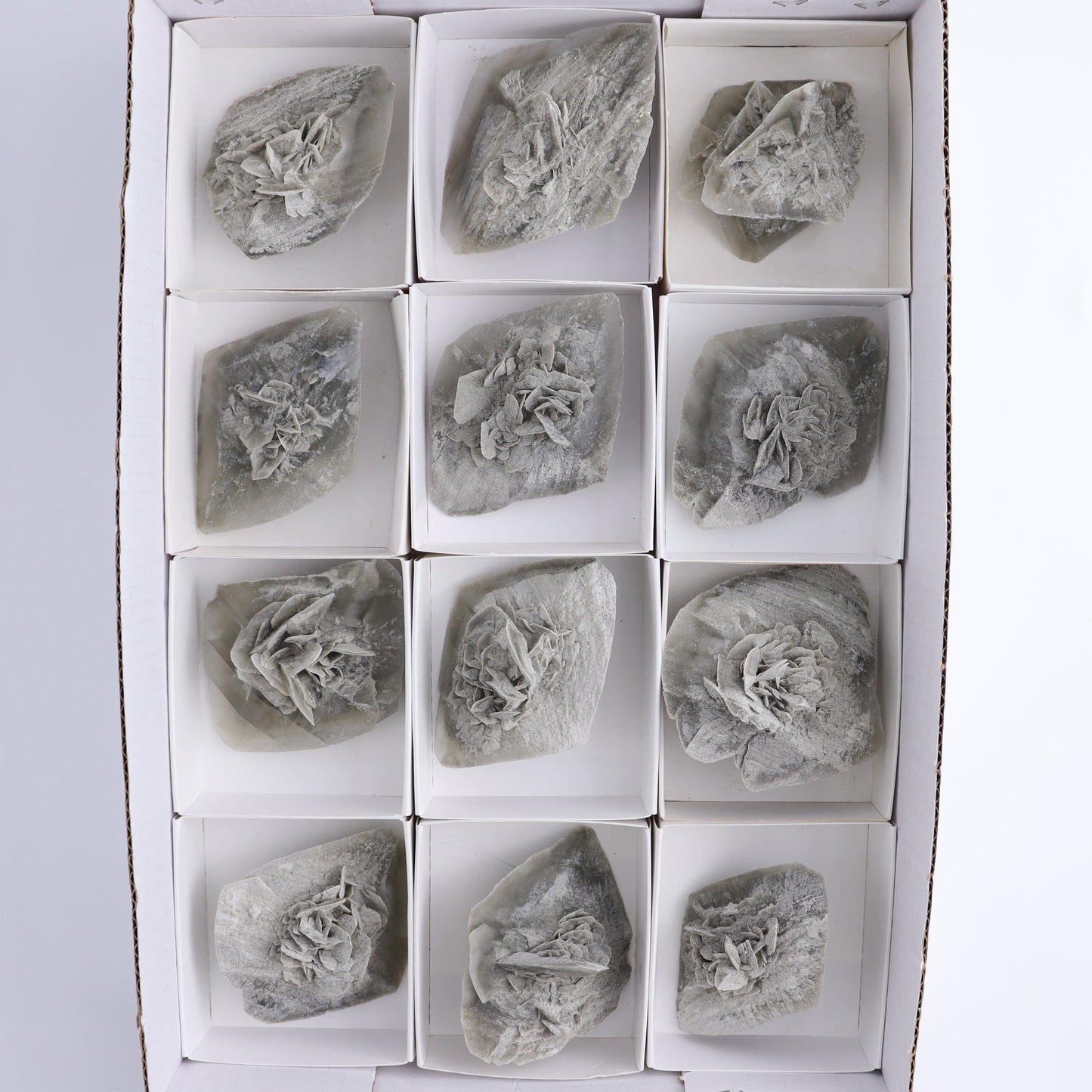 Selenite Clusters Set of 12