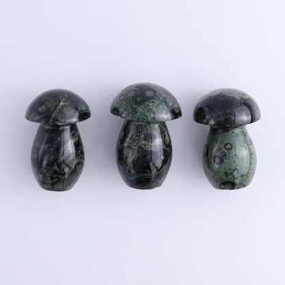 Kambaba Jasper Mushrooms Set of 7 - Expert Wholesale and Supplier of Wholesale Crystals & Bulk Gemstones, ["Kambaba Jasper","Madagascar","Mushrooms"]