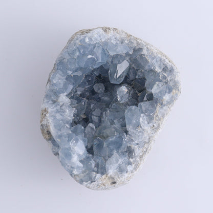 Celestite Clusters Set of 8 - Expert Wholesale and Supplier of Wholesale Crystals & Bulk Gemstones, ["Celestite","Freeform"]