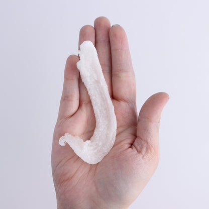 Rams Horn Selenite Set of 10 - Expert Wholesale and Supplier of Wholesale Crystals & Bulk Gemstones, ["Freeform","Freeforms","selenite"]
