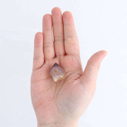 Cactus Quartz Set of 22