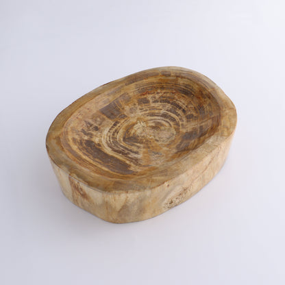 Petrified Wood Bowl - Expert Wholesale and Supplier of Wholesale Crystals & Bulk Gemstones, ["Bowls","Indonesia","Petrified Wood"]