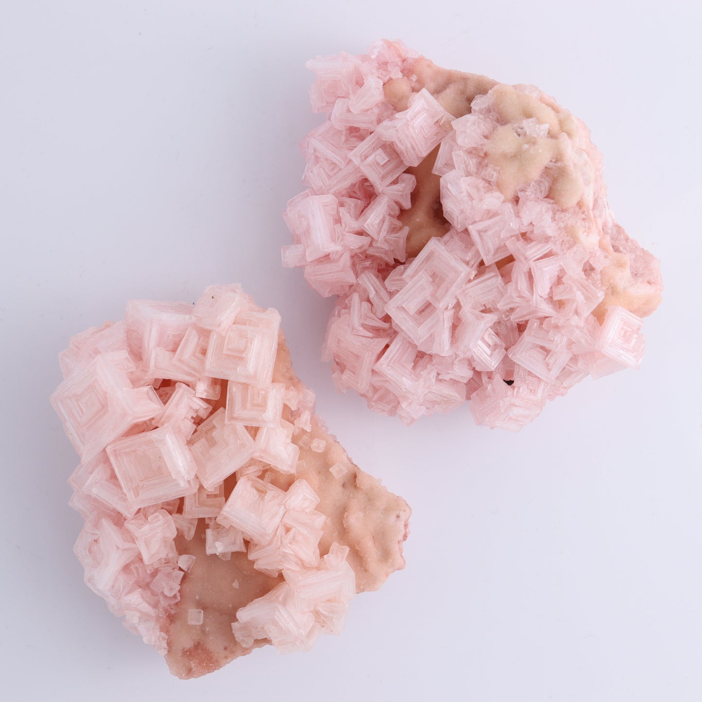 Halite Flat of 5 - Expert Wholesale and Supplier of Wholesale Crystals & Bulk Gemstones, ["Flats","Halite","United States"]