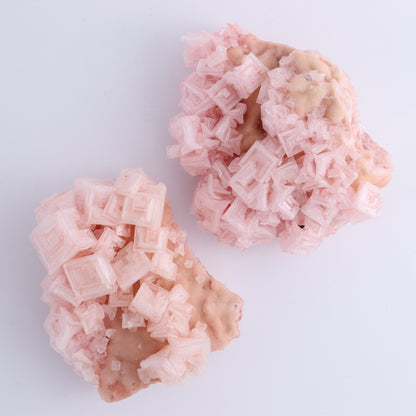 Halite Flat of 5 - Expert Wholesale and Supplier of Wholesale Crystals & Bulk Gemstones, ["Flats","Halite","United States"]