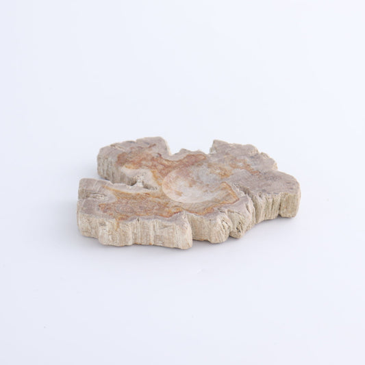 One Small Petrified Wood Sphere Holder