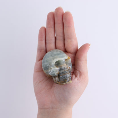 Blue Onyx Skulls Set of 5 - Expert Wholesale and Supplier of Wholesale Crystals & Bulk Gemstones, ["Blue Onyx","Mexico","onyx","Skulls"]