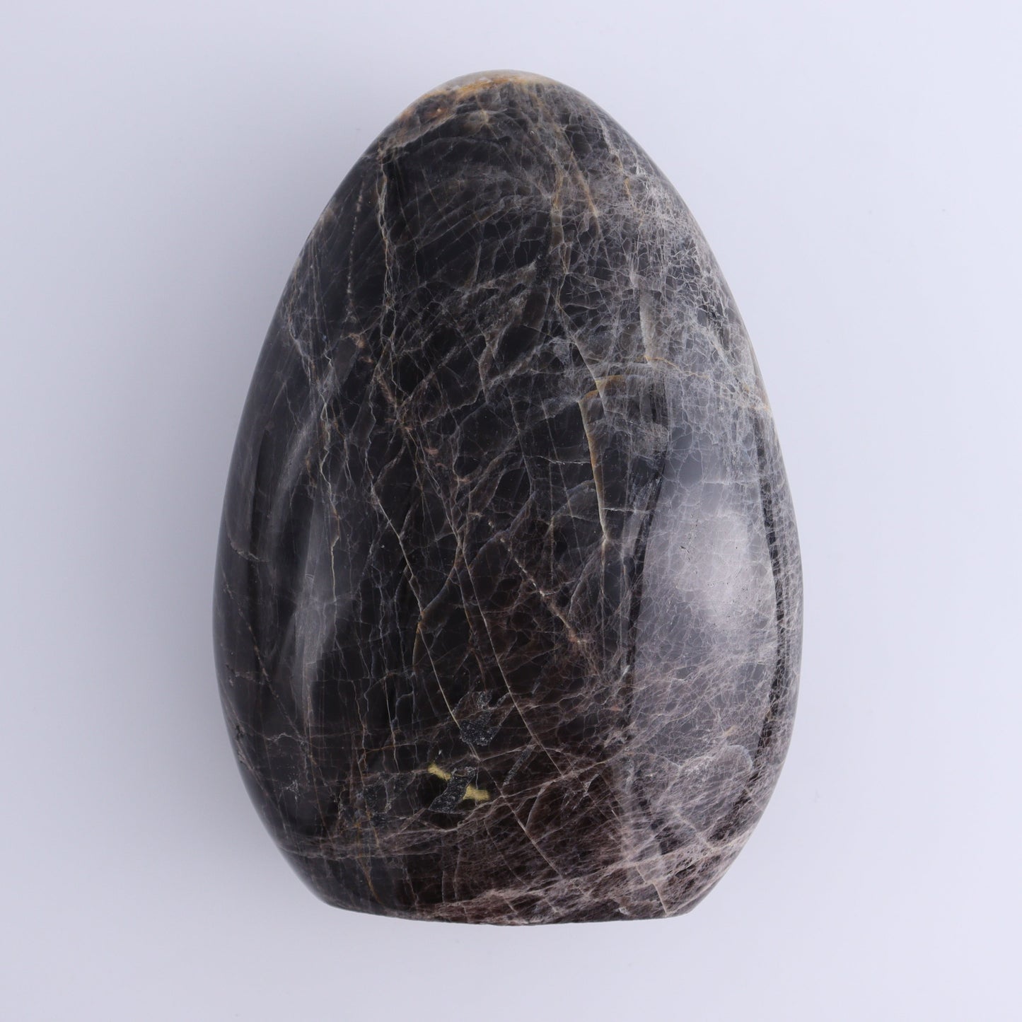 Black Moonstone Freeform - Expert Wholesale and Supplier of Wholesale Crystals & Bulk Gemstones, ["Black Moonstone","close_50","Freeform","Freeforms","Moonstone"]