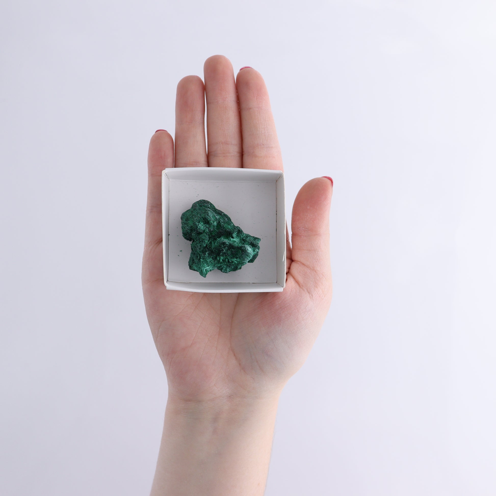 Malachite Flat of 12 - Expert Wholesale and Supplier of Wholesale Crystals & Bulk Gemstones, ["Congo","Flats","Malachite"]