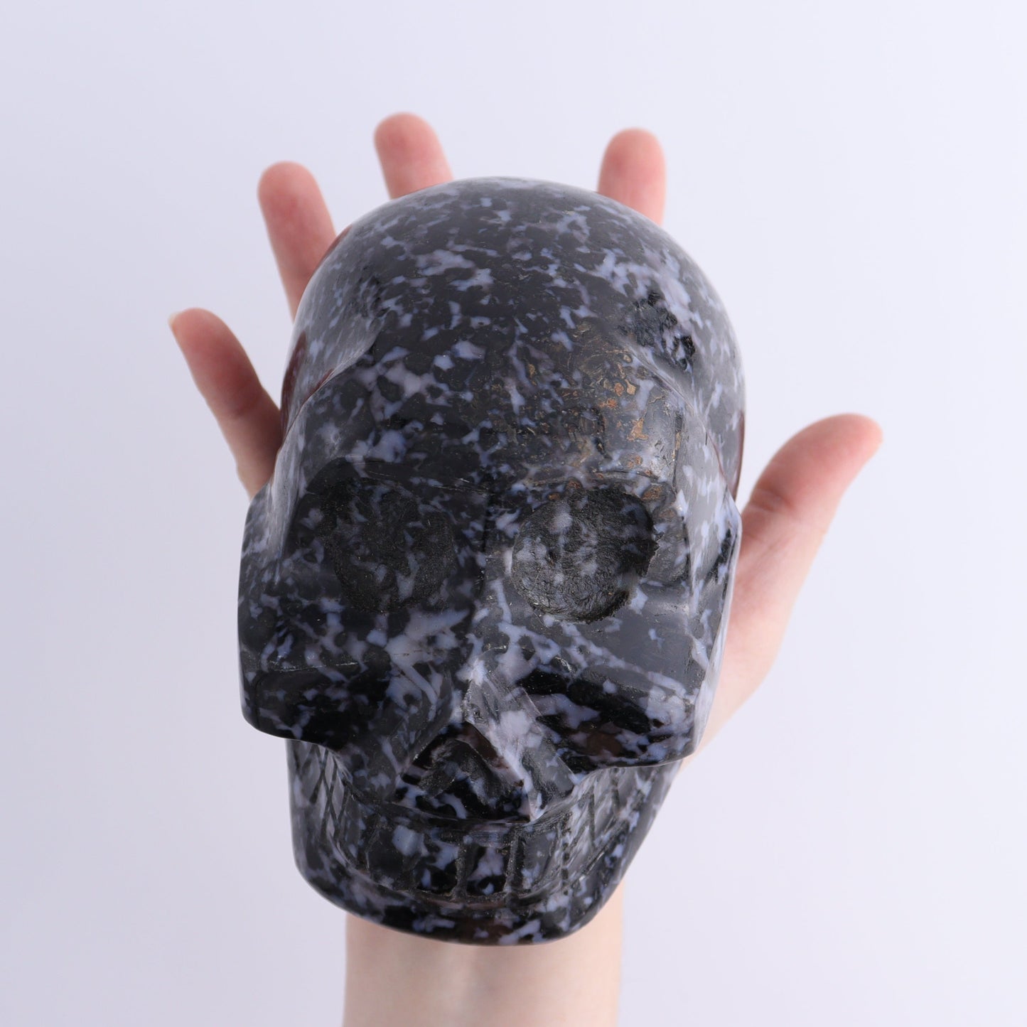 Indigo Gabbro Skull - Expert Wholesale and Supplier of Wholesale Crystals & Bulk Gemstones, ["Indigo Gabbro","Madagascar","Skulls"]