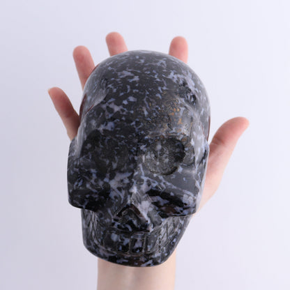 Indigo Gabbro Skull - Expert Wholesale and Supplier of Wholesale Crystals & Bulk Gemstones, ["Indigo Gabbro","Madagascar","Skulls"]
