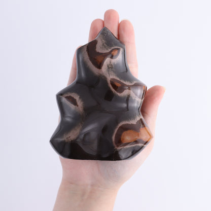 Polychrome Jasper Flames Set of 5 - Expert Wholesale and Supplier of Wholesale Crystals & Bulk Gemstones, ["close_30","jasper","Madagascar","Polychrome Jasper"]