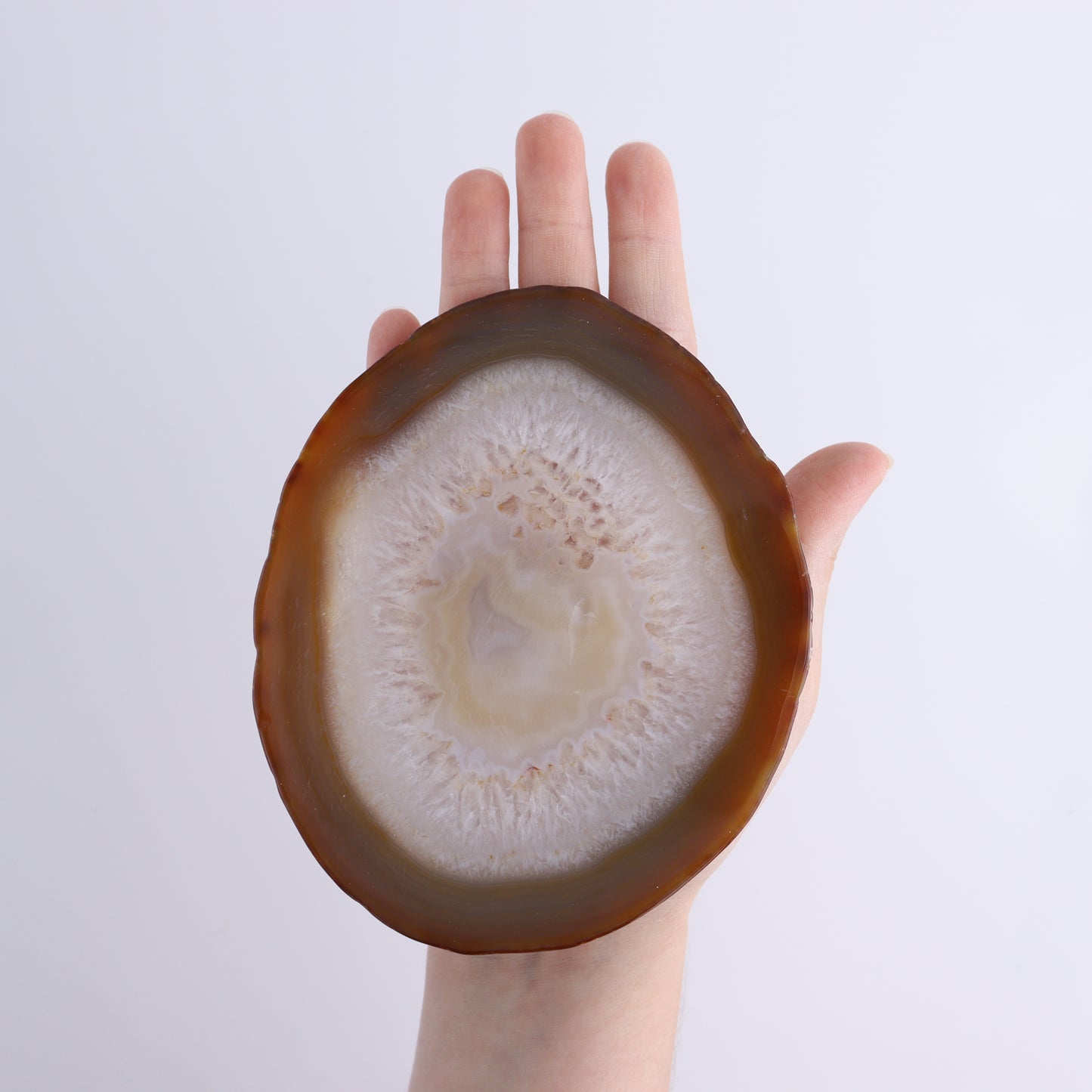 Agate Slices Set of 8 - Expert Wholesale and Supplier of Wholesale Crystals & Bulk Gemstones, ["Agate","Slices and Slabs"]