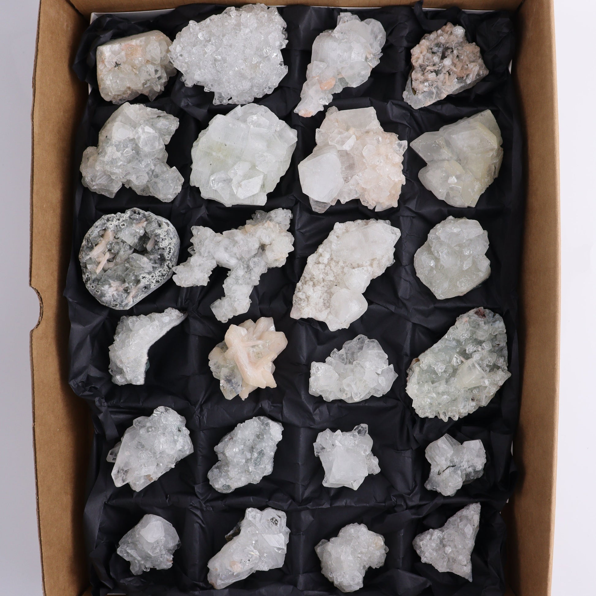 Apophyllite Clusters Flat of 24 - Expert Wholesale and Supplier of Wholesale Crystals & Bulk Gemstones, ["Apophyllite","close_50","Clusters","Flats"]